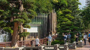 Contrasting with the still waters of the ponds, the dynamic but gentle splashing waters fall from the Silver Strand Waterfall, creating a water curtain for the vegetarian restaurant “Chi Lin Vegetarian” housed underneath and cools the nearby walkway.